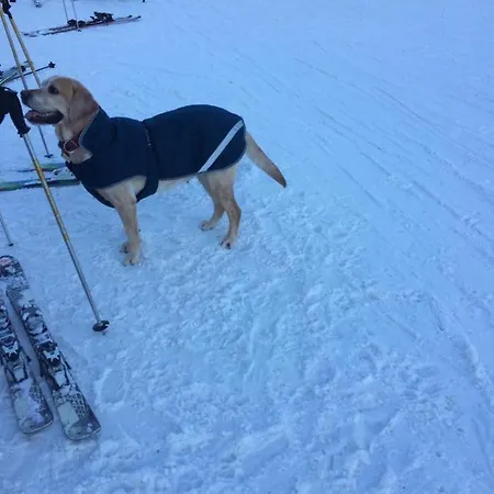 Apartmán Chalet Crans-Montana Crans-Montana