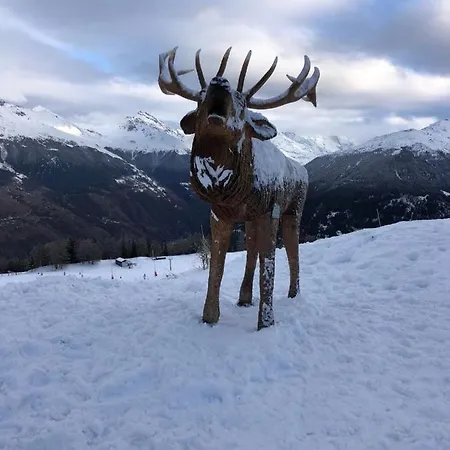 Chalet Crans-Montana Daire *
