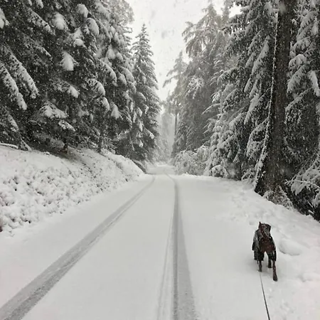 Daire Chalet Crans-Montana Crans-Montana