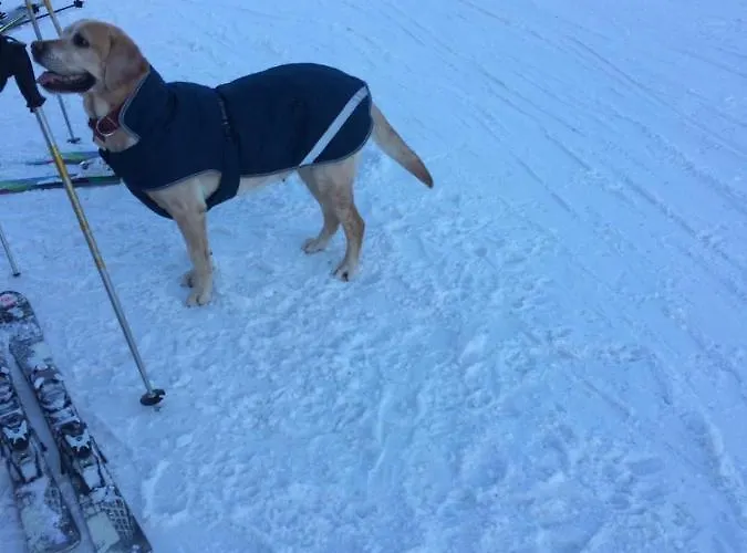 Apartament Chalet Crans-Montana Crans-Montana