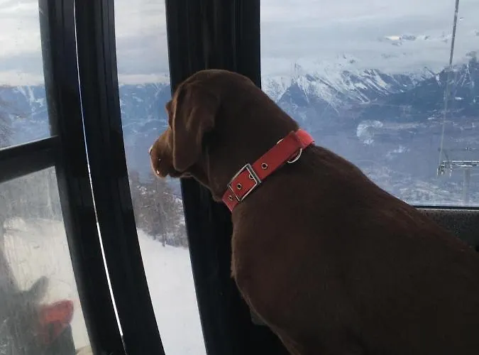 Chalet Crans-Montana Apartament