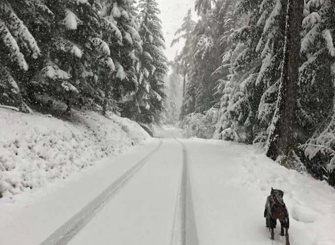 Apartament Chalet Crans-Montana Crans-Montana