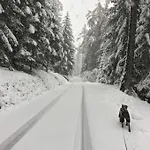 דירה Chalet Crans-Montana קראנס-מונטנה