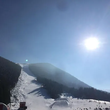 Chalet Crans-Montana דירה *